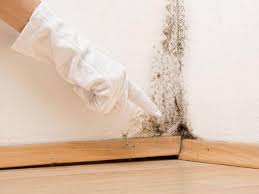 Best Mold Odor Removal Services  in Bell, CA